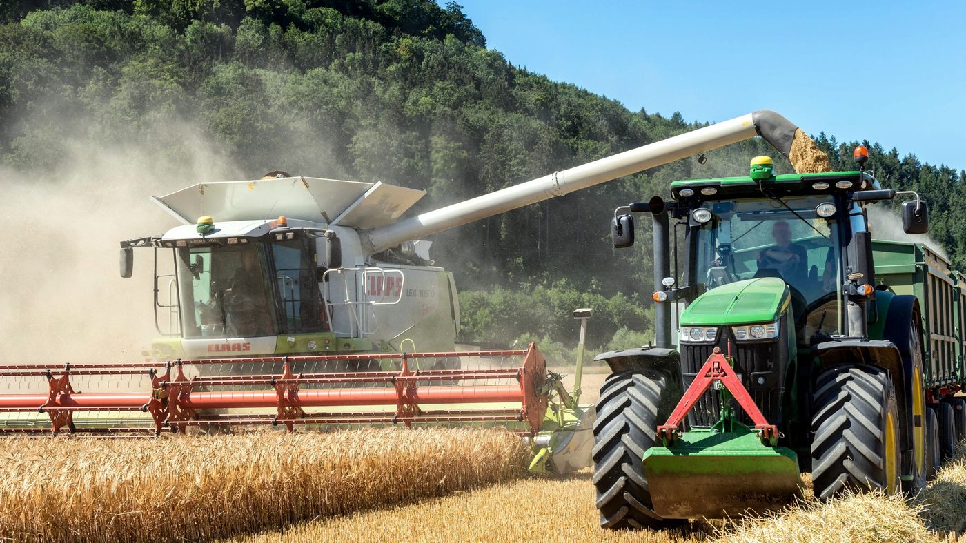 Combine unloading grain into a tractor-drawn cart during harvest